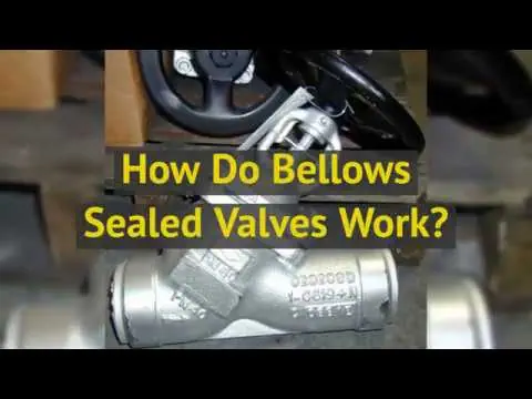 Bellows Sealed Valves Work